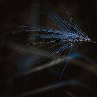 *** :: Виктор Иванович Чернюк *** :: Виктор Иванович Чернюк