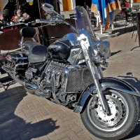 «Звёздный» друг байкера :: Ольга Довженко «Звёздный» друг байкера :: Ольга Довженко