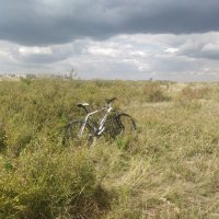 На велосипеде по степи :: Андрей Хлопонин