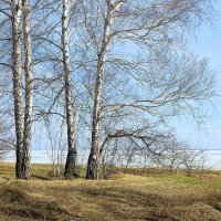 Весна на Обском водохранилище :: Дмитрий Конев Весна на Обском водохранилище :: Дмитрий Конев