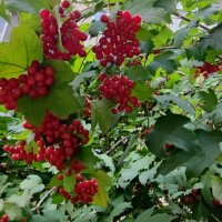 ,,, :: Сергей Тимоновский