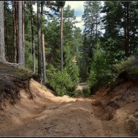 Август уходит.... :: Aleksandr Gal