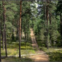 Лето уходит :: Aleksandr Gal