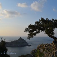 Природа Крыма :: Amazing Cosmea