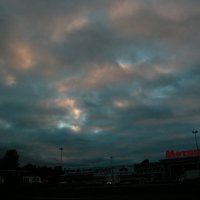 Перламутр. :: Наталья Лунева 