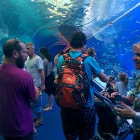 " :: Светлана Хращевская