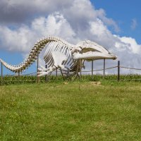 Киты парка Олений :: Дмитрий Ряховский