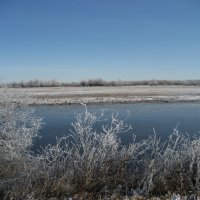 Утро :: Anna Ivanova