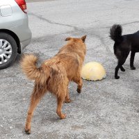 Конец июля - тоже середина лета :: Галина Минчук