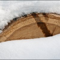 Март :: **** vedin