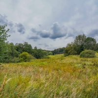 Август в Царицыно... :: Владимир Жданов