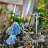 Равняйсь! Смирно! :: AZ east3