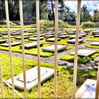 Пенсионерная конюшня и  кладбище лошадей - 4 :: Сергей 