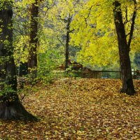 Скоро осень :: Юрий. Шмаков