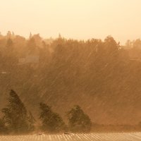 Просто летний дождь :: Светлана Карнаух Просто летний дождь :: Светлана Карнаух