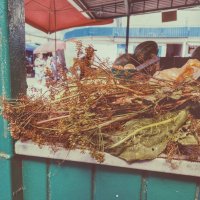 Пряности :: Ирина Курмалеева