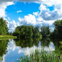 Природа в конце лета! :: Милешкин Владимир Алексеевич 