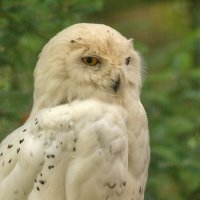 -- :: vladimir -- :: vladimir