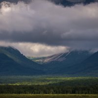 ... :: Жора Житников