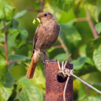 ** :: Виталий Емельянов