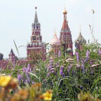 Зарядье в июле :: Михаил Бибичков