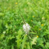 ,,, :: Сергей Тимоновский