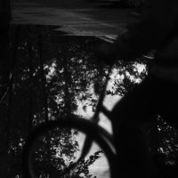 *** :: Анна Малышева