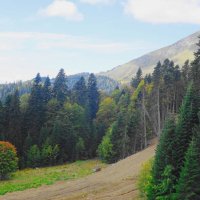 Кавказские горы :: Рита Симонова