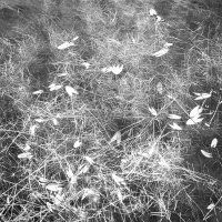 Назва. отсу. :: Денис Безногов