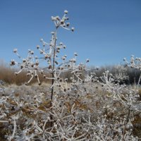 Утро :: Anna Ivanova Утро :: Anna Ivanova