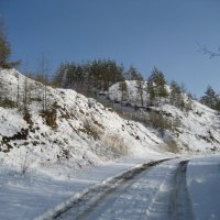 По дороге в лес :: Anna Ivanova По дороге в лес :: Anna Ivanova