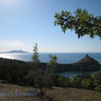Природа Крыма :: Amazing Cosmea
