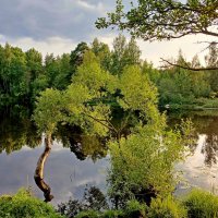 Вечер августа. :: Лия ☼