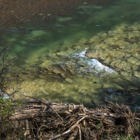 Вода в реке Уруп :: Игорь Сикорский Вода в реке Уруп :: Игорь Сикорский