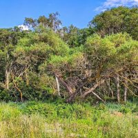 Просто посмотри ... :: Kirill 