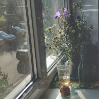 Солнце заглянуло :: Ирина Курмалеева