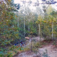 С такими друзьями хоть куда! :) :: Елена Хайдукова  ( Elena Fly )