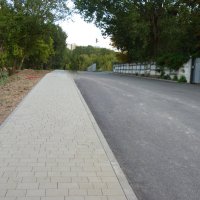 Капитальный ремонт  вокруг озера :: Валентин Семчишин