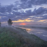 **** :: Елизавета .