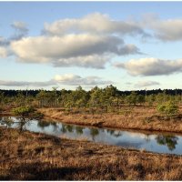 *** :: Aleksandr Gal