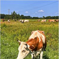 ********* :: Валерия Комова ********* :: Валерия Комова