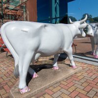 Модница. :: Геннадий Порохов