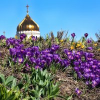 3 апреля в Музеоне :: Михаил Бибичков