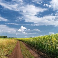 По дорогам августа :: Андрей Заломленков