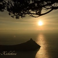 Природа Крыма :: Amazing Cosmea