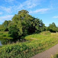 Родная природа. :: Лия ☼