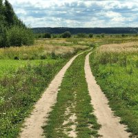 Дорога :: Любимова Ольга 