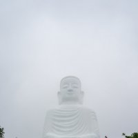 Mister B :: Григорий Иванов