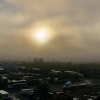 Утро туманное..... :: Ирина Соловьёва