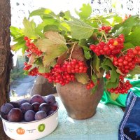 Август. :: Венера Чуйкова